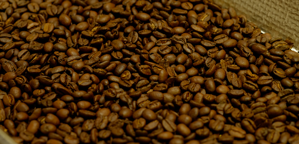 最高品質のスペシャルティコーヒー豆を